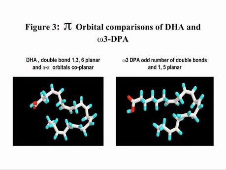 Más sobre los Omega-3 Más sobre los Omega-3