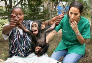 Curso: Biología, etología, veterinaria y conservación de primates Rebeca y la cuidadora Diane (propiedad del IJG)