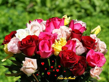 Regalos para el Día de la Madre Regalos para el Día de la Madre