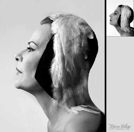 Philippe Halsman mosaico