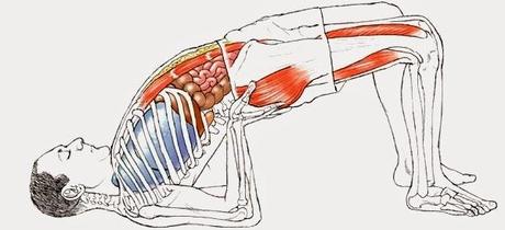 CÓMO HACER SETU BANDHASANA O ASANA DEL PUENTE CÓMO HACER SETU BANDHASANA O ASANA DEL PUENTE