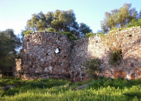 Colaboraciones de Extremadura, caminos de cultura: Castillo de Castellanos (Cáceres), en la Lista Roja de Patrimonio