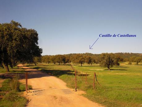 Colaboraciones de Extremadura, caminos de cultura: Castillo de Castellanos (Cáceres), en la Lista Roja de Patrimonio