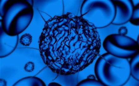 stem-cells_1870275c