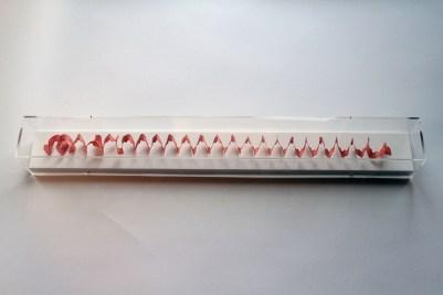 Enrique Barro, diseccionando un lápiz de color memòries-dun-llapis