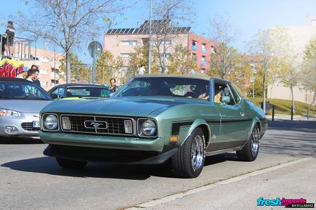 Speedfest Castellar 2014 IMG_4717