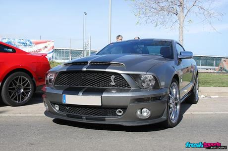 Speedfest Castellar 2014 IMG_4686