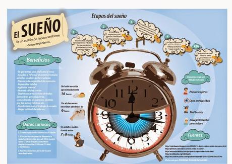El sueño y sus etapas #Infografía #Salud #Curiosidades