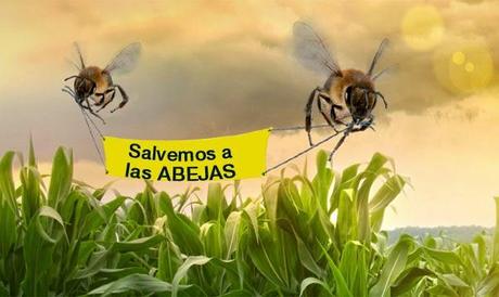 Resultado de imagen de dia mundial de las abejas 2018