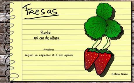 Fresa (Fragaria vesca) fresas copia