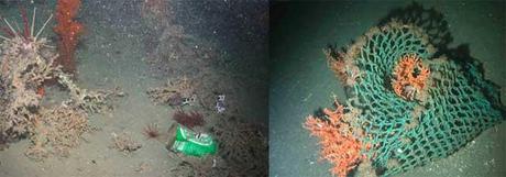 basura en fondo del océano basura en fondo del océano