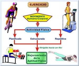 Diferenciemos conceptos: ACTIVIDAD FÍSICA, EJERCICIO Y DEPORTE Diferenciemos conceptos: ACTIVIDAD FÍSICA, EJERCICIO Y DEPORTE