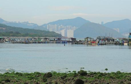 Lamma: el sueño de Hong Kong Algunos rascacielos de Hong Kong vistos desde Lamma