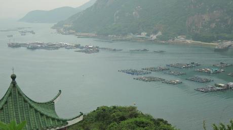 Lamma: el sueño de Hong Kong Piscicultivos en Sok Kwu, tras un recodo del camino.