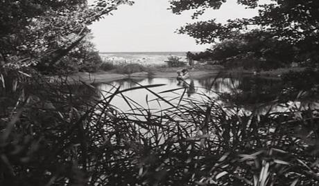 Sommaren med Monika - 1953