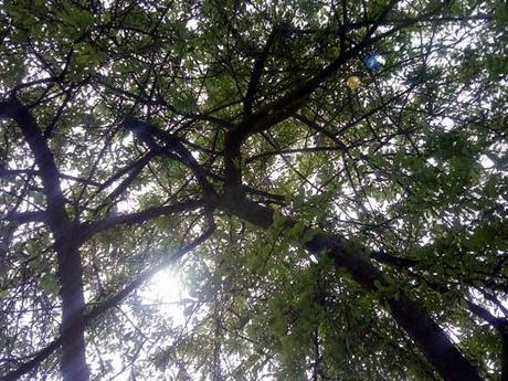 El subtítulo El subtítulo