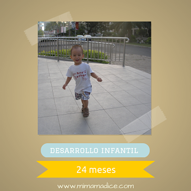 Desarrollo infantil 24 meses mimamadice.com