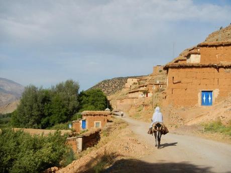 El mulo. Valle Ait Bouguemez (Marruecos)