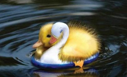 Pero ¿para qué sirve la autoestima? la autoestima patito