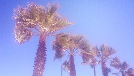 5 imprescindibles en un viaje (exprés) a Valencia valencia