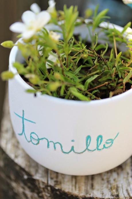 DIY Mini maceta personalizada DIY Mini maceta personalizada