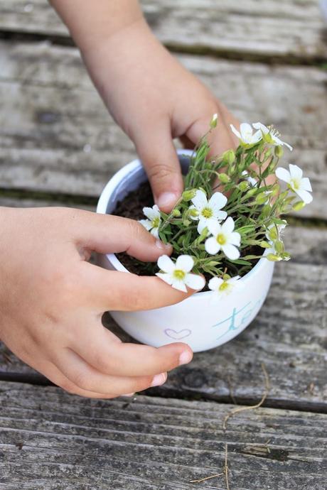 DIY Mini maceta personalizada DIY Mini maceta personalizada