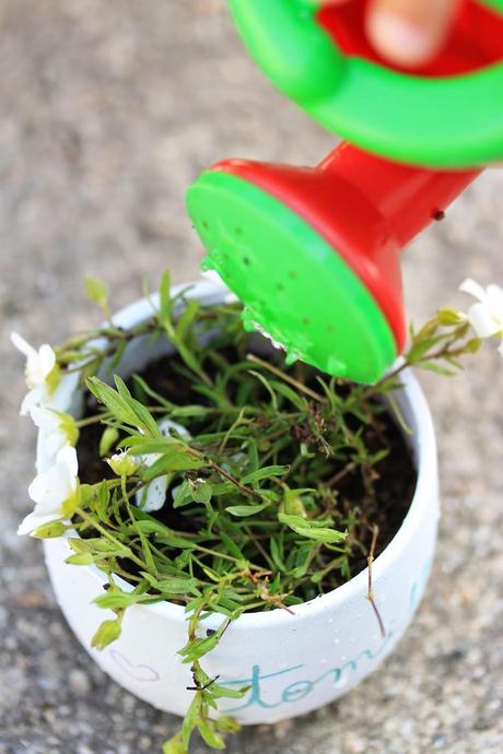 DIY Mini maceta personalizada DIY Mini maceta personalizada