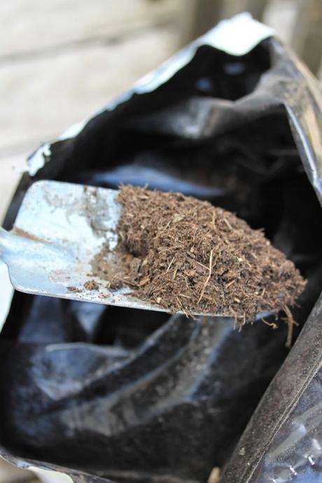 DIY Mini maceta personalizada DIY Mini maceta personalizada