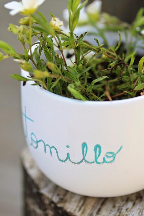 DIY Mini maceta personalizada DIY Mini maceta personalizada