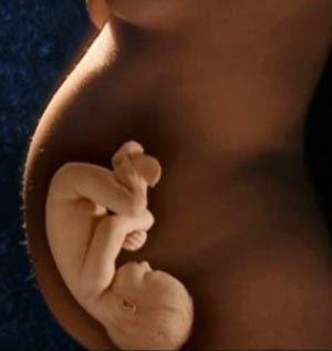 Segundo Embarazo: Similitudes Y Diferencias Segundo Embarazo: Similitudes Y Diferencias