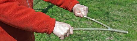 Creer para Ver rabdomante