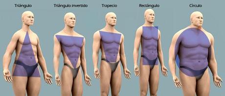 Tipologías masculinas tipologias masculinas