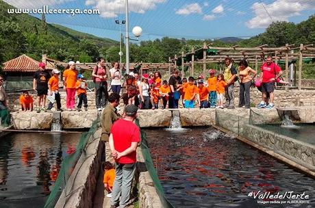 Centro de reproducción de salmónidos. Valle del Jerte Centro de reproducción de salmónidos. Valle del Jerte