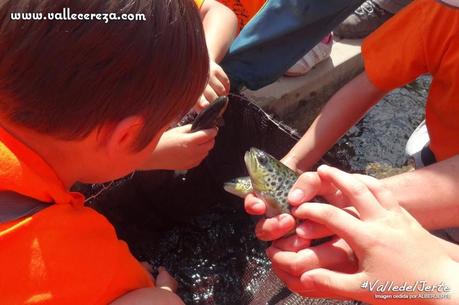 Centro de reproducción de salmónidos. Valle del Jerte Centro de reproducción de salmónidos. Valle del Jerte