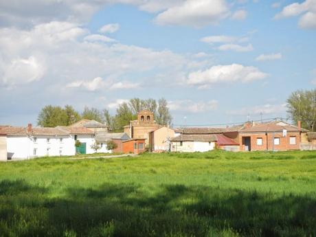 Arboleda de San Nicolás del Real Camino (Palencia)