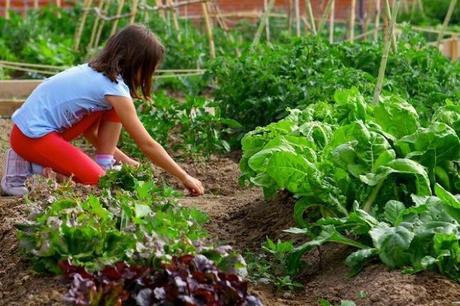 Educar en valores: Cuidar el medio ambiente huerto con niños
