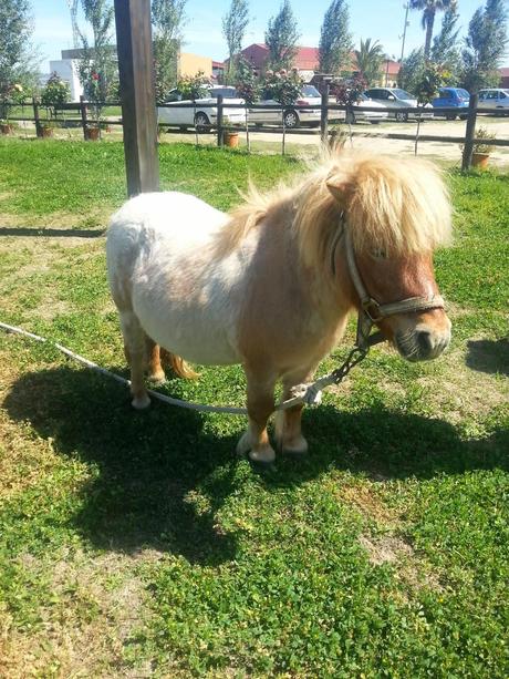 Como sobrevivir a la primera excursión del colegio colegio