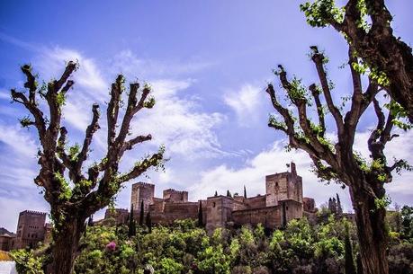 Granada, azul y blanco