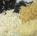 Three varieties of rice grains, arborico, organic brown, long gr