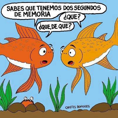 Memoria Memoria