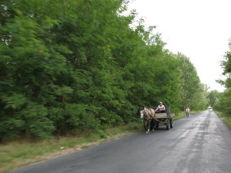 Transporte en Hungría (II) : Carretera