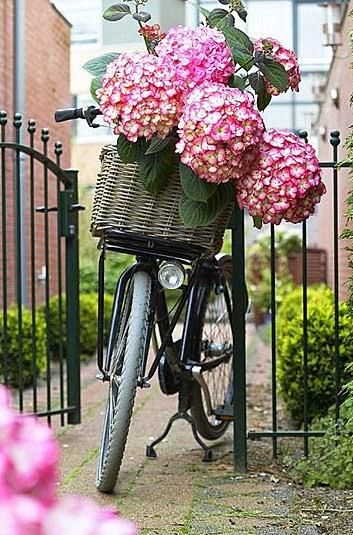 PASAR DE RUTINAS NEGATIVAS A POSITIVAS PASAR DE RUTINAS NEGATIVAS A POSITIVAS