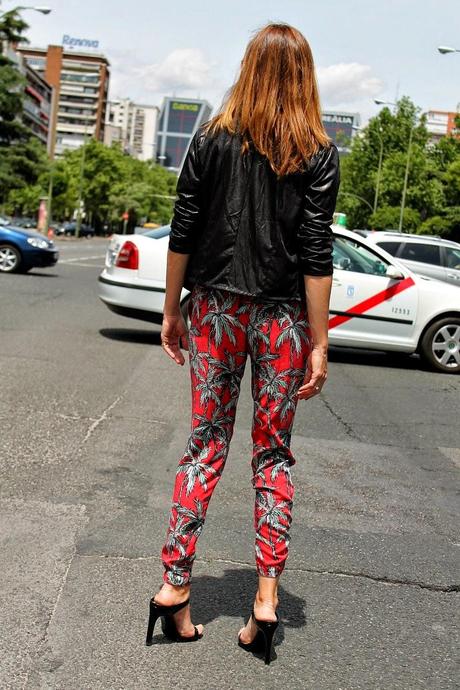 lady in red lady in red