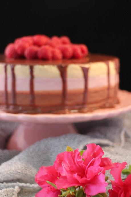 Tarta mousse de chocolate con leche, frambuesas y vainilla Tarta mousse de chocolate con leche, frambuesas y vainilla