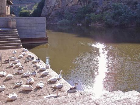 El Tajo en Toledo