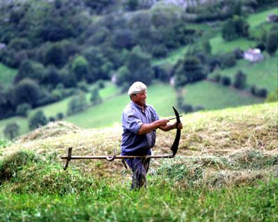 Picando el dalle... Picando el dalle...