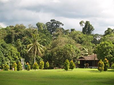 Por el Norte Sarawak: Miri y Cuevas Niah Por el Norte Sarawak: Miri y Cuevas Niah