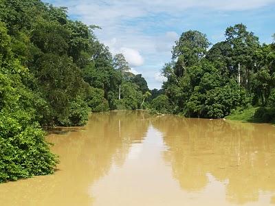 Por el Norte Sarawak: Miri y Cuevas Niah Por el Norte Sarawak: Miri y Cuevas Niah