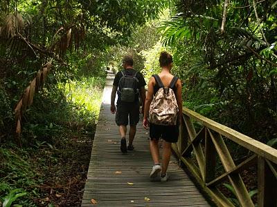 Por el Norte Sarawak: Miri y Cuevas Niah Por el Norte Sarawak: Miri y Cuevas Niah