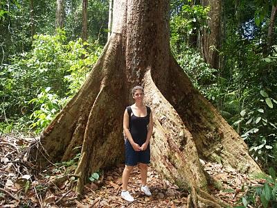 Por el Norte Sarawak: Miri y Cuevas Niah Por el Norte Sarawak: Miri y Cuevas Niah
